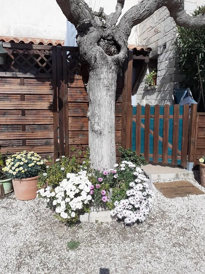 Appartement Ciotat La Plage à La Ciotat 0*,